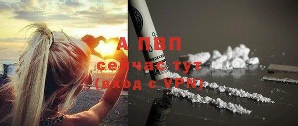 мет Бородино