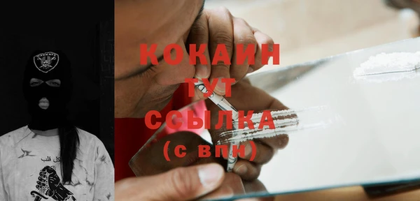 шишки Ахтубинск