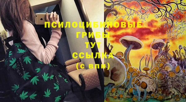 мет Бородино